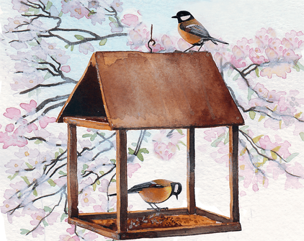 Марджолейн Бастин птицы