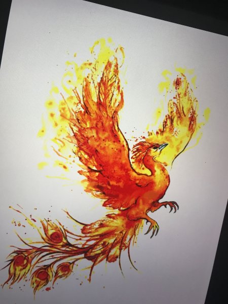 Урок рисования Жар птица