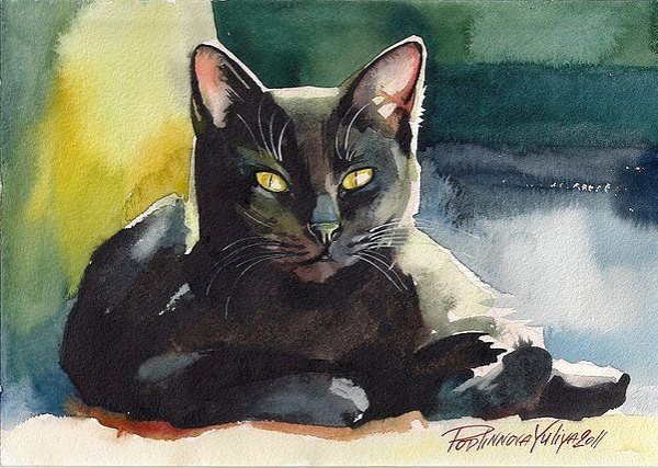 Кот гуашью