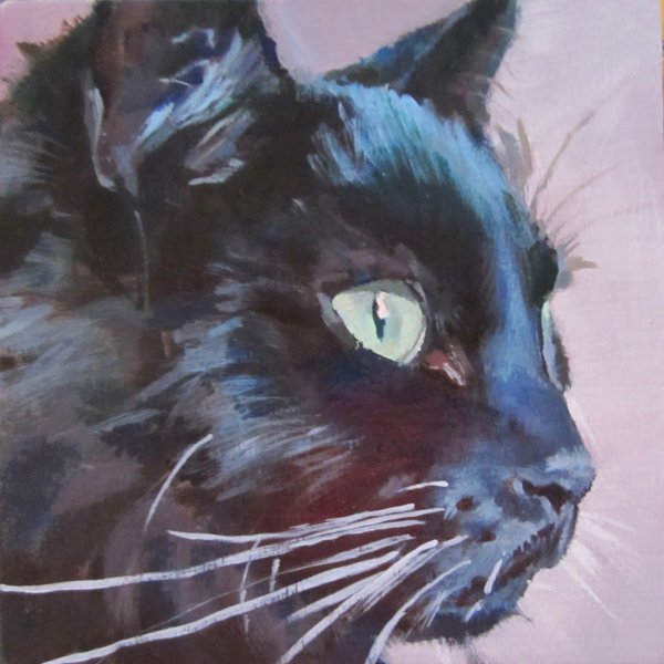 Черный кот гуашью