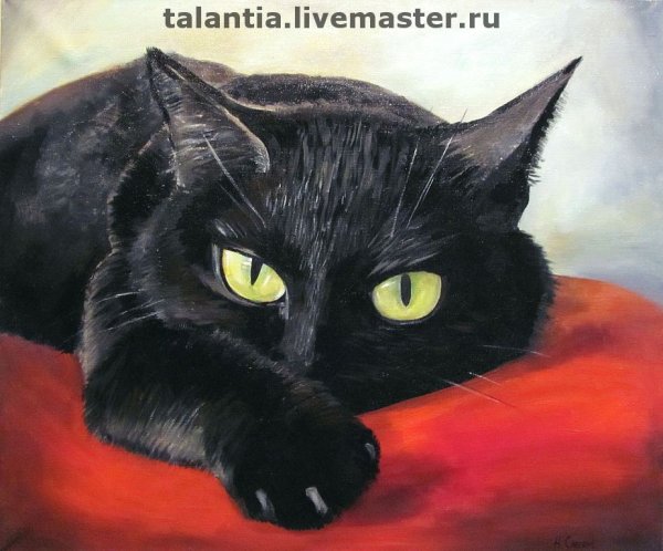 Черные коты в живописи