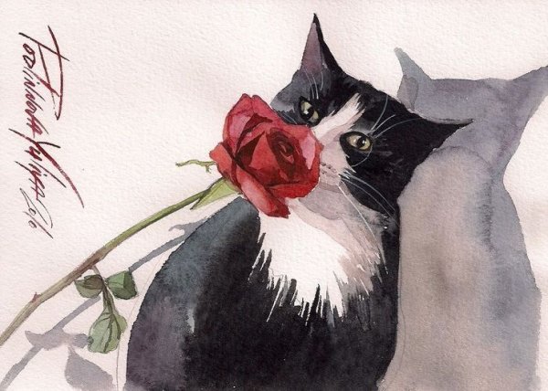 Черно белая кошка гуашью