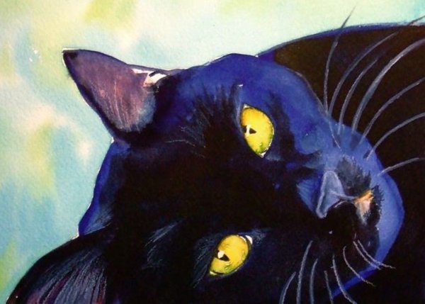 Черный кот живопись