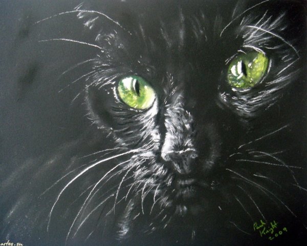 Кошка пастелью