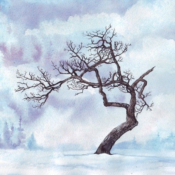 Рисование зимний лес подготовительная группа