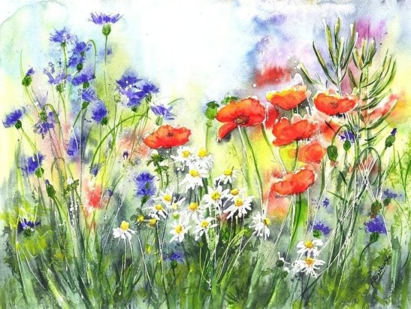Maria Roszkowska Watercolor акварель цветы