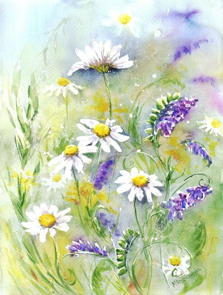 Цветочная живопись Maria Roszkowska