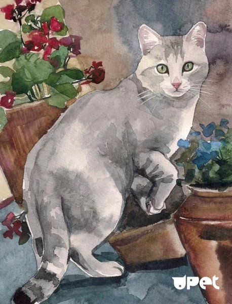 Кот акварелью