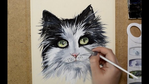Кот красками пошагово
