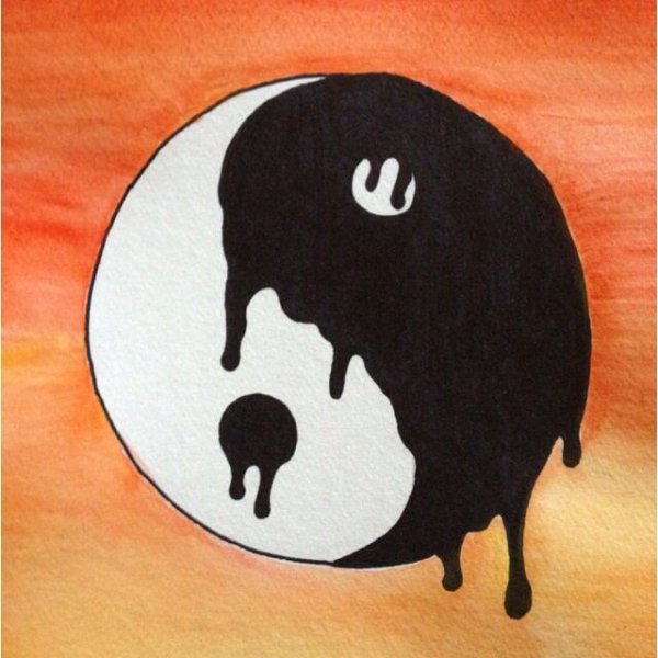 Кошки акрилом на Камне