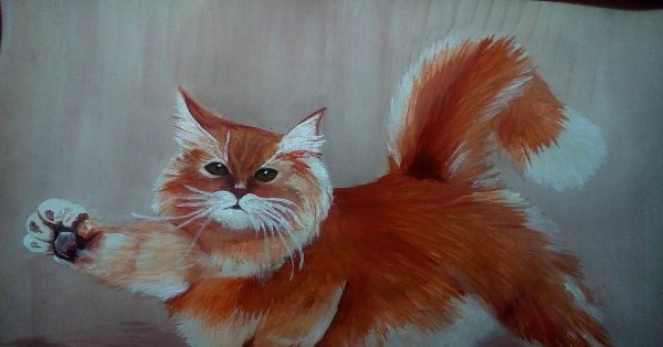 Рыжий кот гуашью