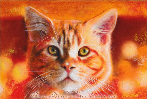 Charlene Aurora Wienhold художник