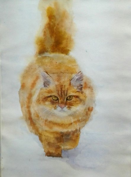 Рыжий пушистый кот акварелью