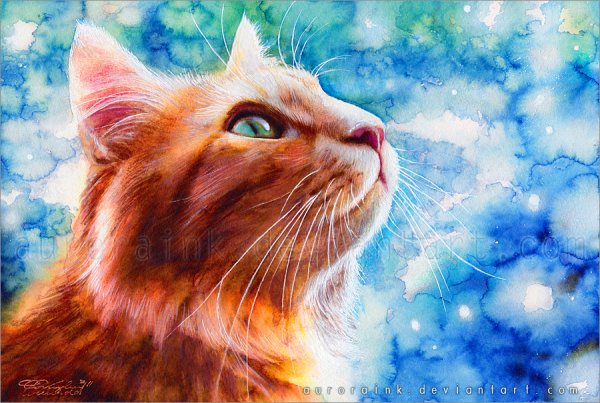 Aurora Wienhold картины