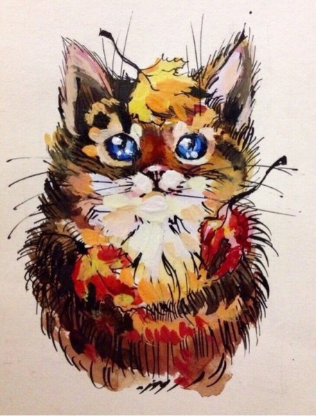 Кот акварельными карандашами