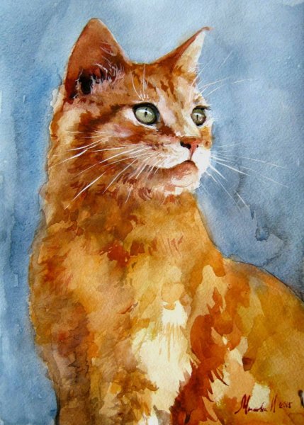 Кот акварелью