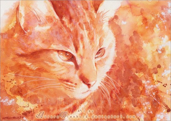 Aurora Wienhold картины