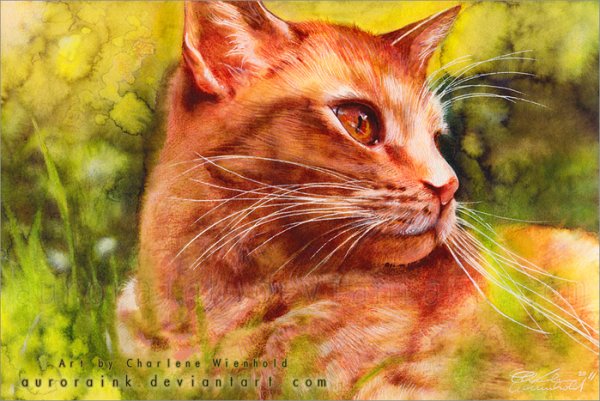 Кошка акварелью