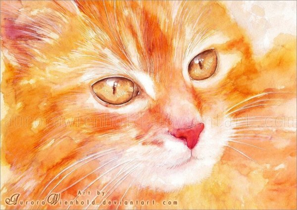 Рыжий кот живопись