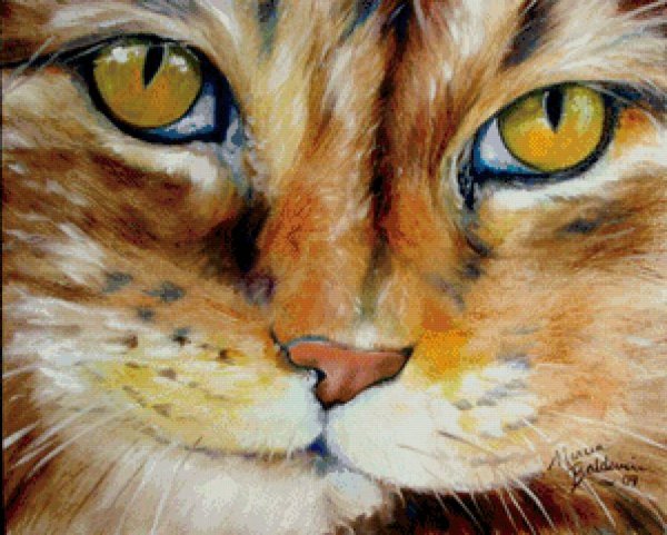 Художник Наталья Макушева рыжий кот