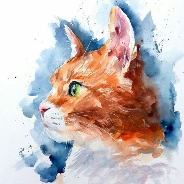 Aurora Wienhold картины