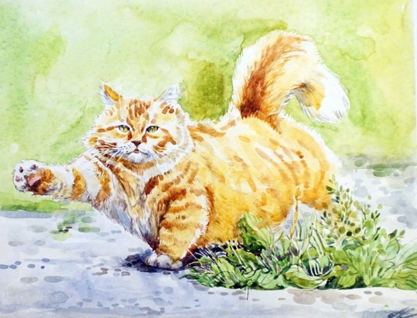 Рыжие коты в живописи