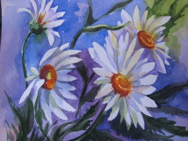 Ромашки гуашью