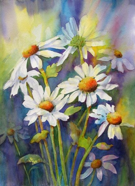 Живопись ромашки акварелью