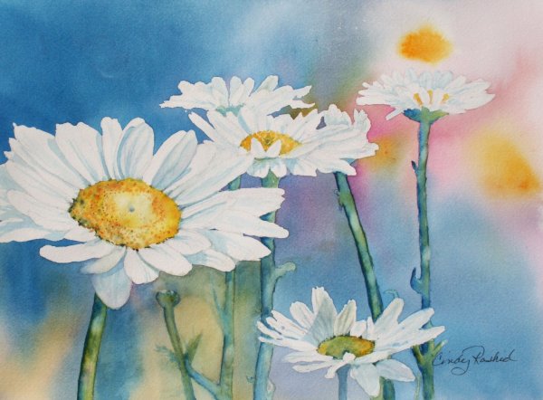 Ромашки гуашью