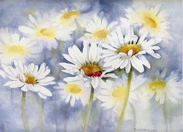 Акварель цветы Рэйчел МАКНОТОН