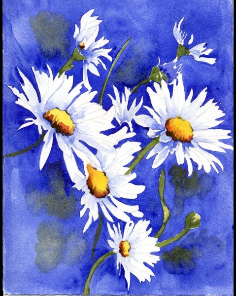 Картина ромашки