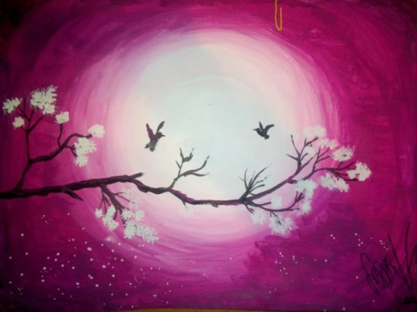 Сакура рисунок