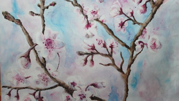 Сакура дерево кляксография