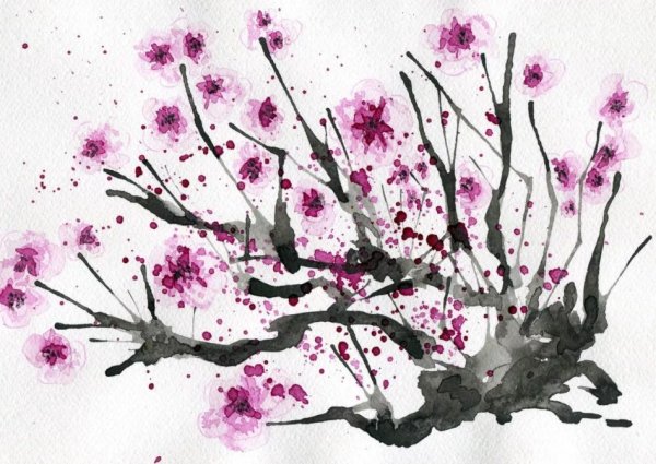 Сакура акварельными карандашами