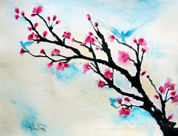 Рисуем сакуру акварелью