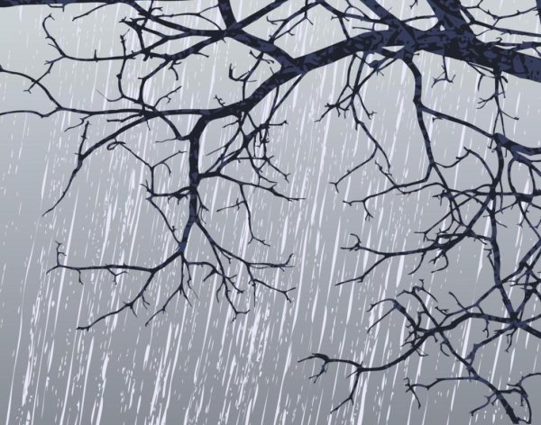 Ветки деревьев в белой краске