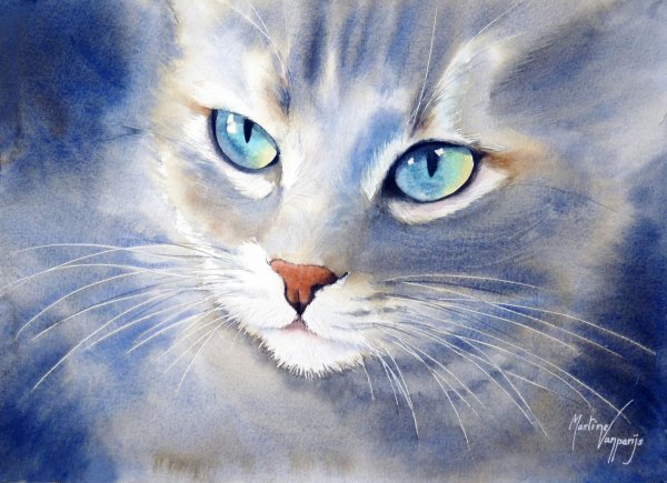 Котик гуашью