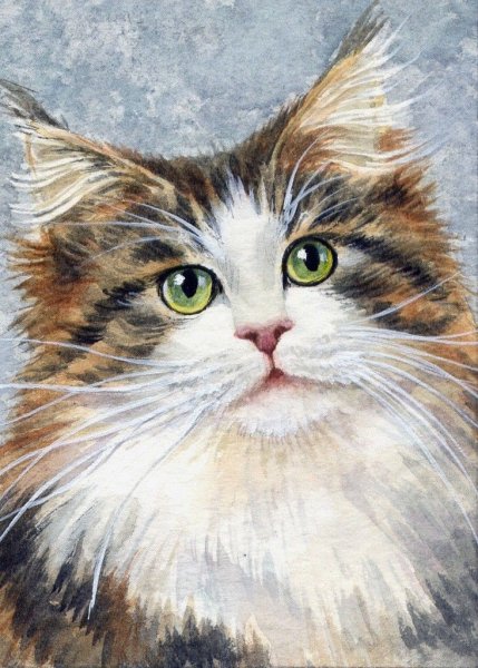 Elena Mezhibovsky художник