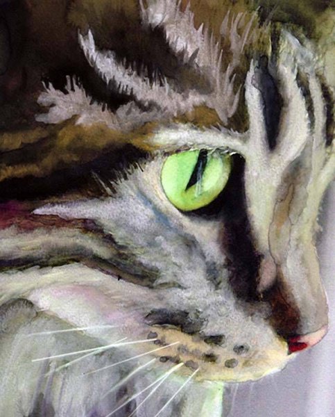 Алекс Картер коты