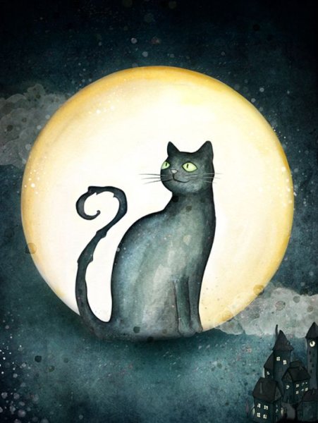Черная кошка и Луна