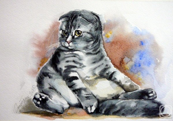 Шотландская вислоухая кошка акварель