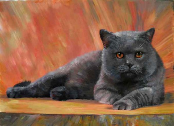 Британские кошки в живописи