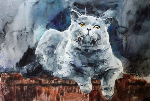 Британская кошка акварелью