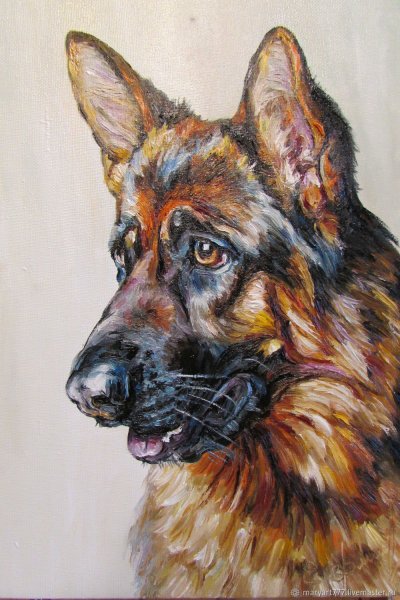 Портрет немецкой овчарки