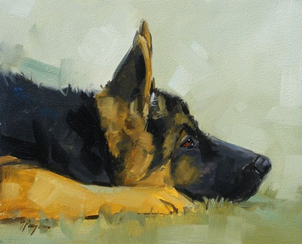 Немецкая овчарка живопись
