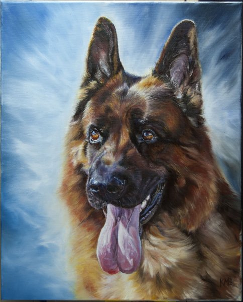 Портреты собак немецкой овчарки