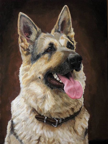 Восточноевропейская овчарка портрет