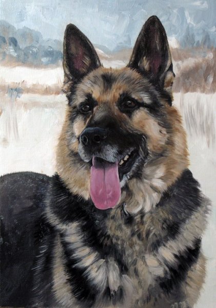 Восточноевропейская овчарка портрет