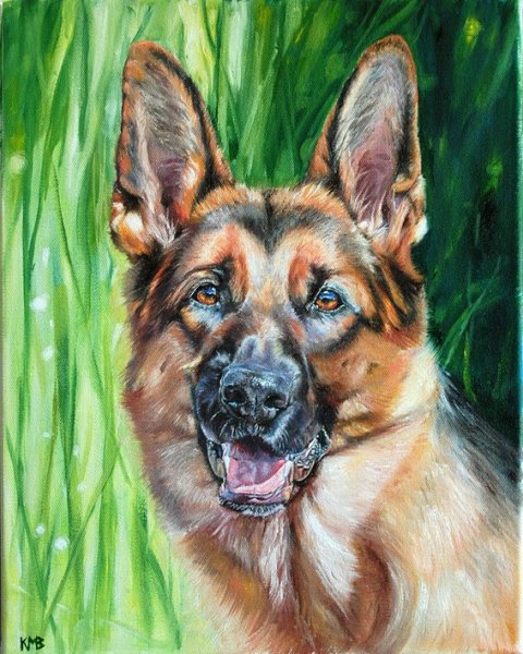 Овчарка цветными карандашами