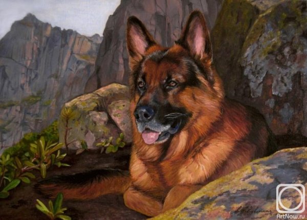 Немецкая овчарка живопись